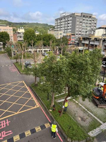 👑皇喬園藝《樹木修剪、伐木整地》 - 苗栗法院地檢署施工中