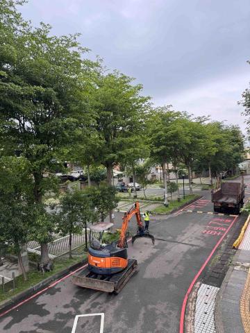 👑皇喬園藝《樹木修剪、伐木整地》 - 苗栗法院地檢署樹木矮化工程
