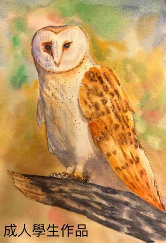 羅 - 成人學生水彩作品