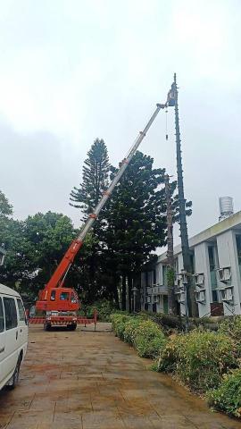 肥嘎企業 - 高空修樹