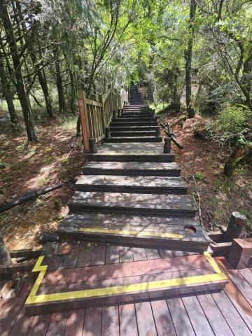 肥嘎企業 - 步道拆除