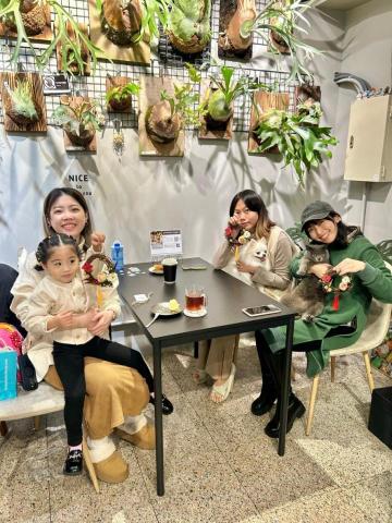 T.Y Studio 乾燥花手作工作室 - 年節小班包課