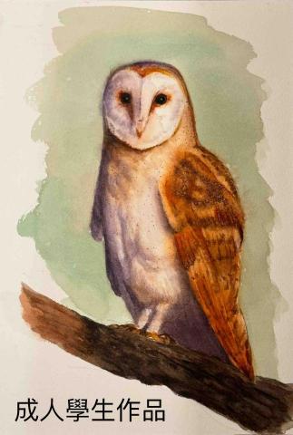 羅 - 成人學生水彩作品