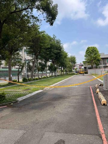 👑皇喬園藝《樹木修剪、伐木整地》 - 苗栗法院地檢署施工中