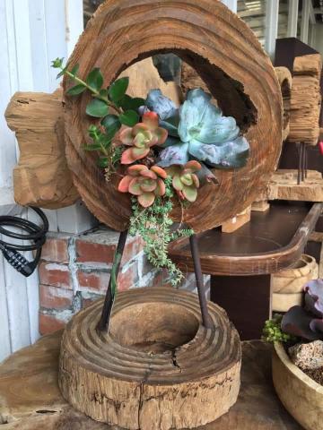 拂雲庭園藝術創作坊 - 多肉植物裝置藝術