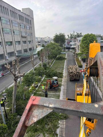 👑皇喬園藝《樹木修剪、伐木整地》 - 苗栗法院地檢署施工中