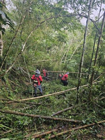 肥嘎企業 - 除草及開路