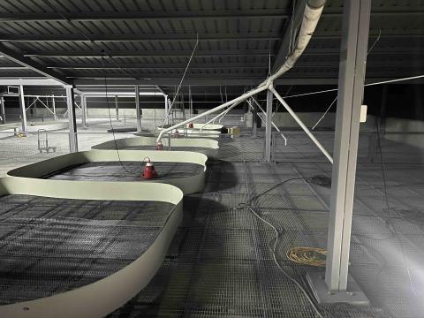 陳先生 - 畜牧場、高床網 