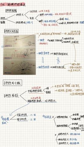 蔡沅錡 - 生物筆記範例1