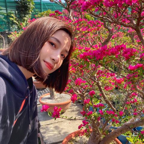 提供彰化英文服務的專家Lilian