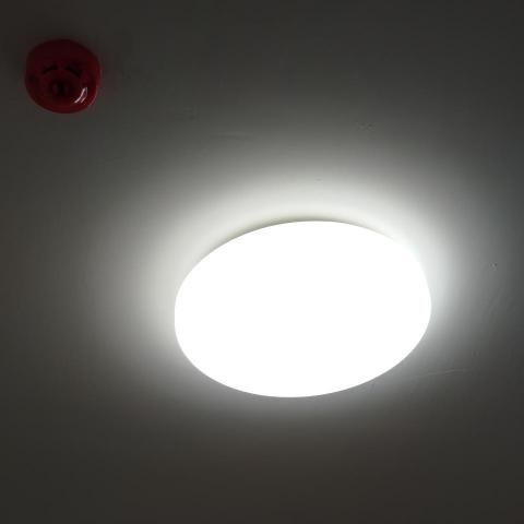 林鵬揚 - 全屋燈具更換