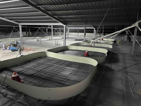 陳先生 - 畜牧場、高床網