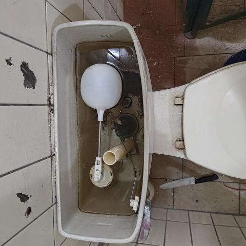 林鵬揚 - 馬通零件更換維修