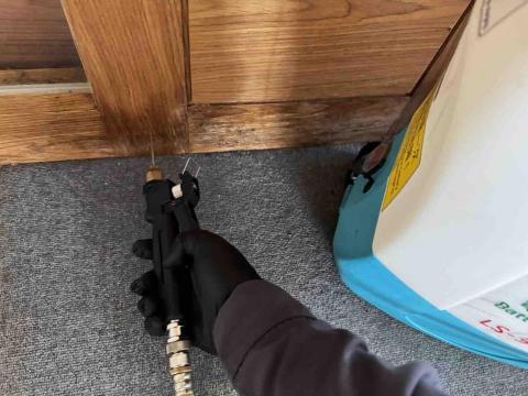 淨瀛環衛有限公司 - 白蟻防治