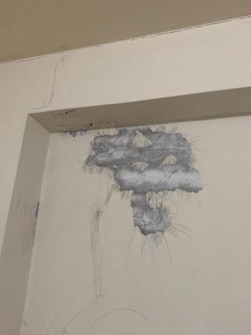 吳師傅 - 裂縫、牆體剝落皆可修好！