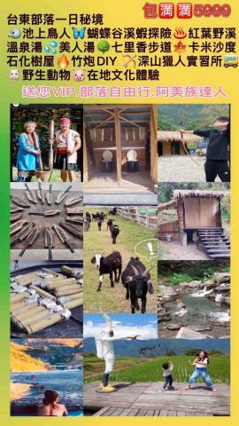 鹿鹿咪の阿天包車旅遊 - 