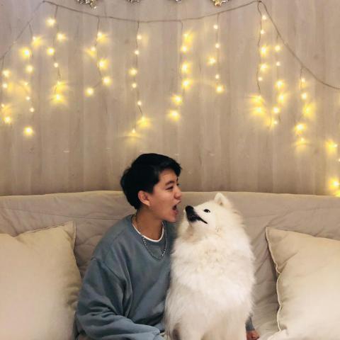 提供77服務的專家77