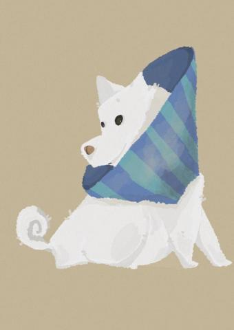 毛毛插畫 - 插畫作品: 白柴，不能咬自己
IG 搜尋: hue_1078_