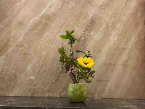 守之齋 - 柚見花香