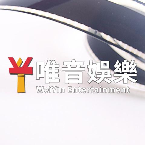 提供音響marshall服務的專家唯音娛樂工作室