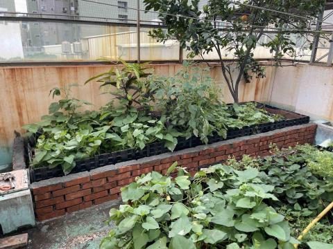 芯橋實業工程企業社 - 泥作修補、造景設計