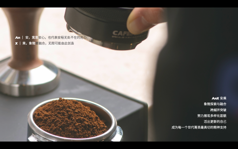 Tracy Tsai - 品牌介紹簡報排版