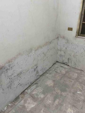 潔兒樂 油漆/清潔/統包工程 - 嚴重除霉 +補土+油漆 中 潔兒樂 油漆/清潔/統包工程 - 嚴重除霉 +補土+油漆 中