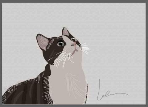 lemon檸檬設計 - 貓咪插畫