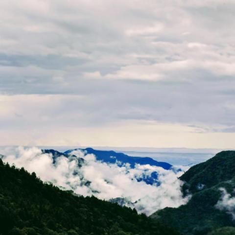 大衛城市旅遊 - 