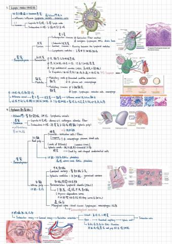 劉玉鑾 - 可以幫忙整理筆記