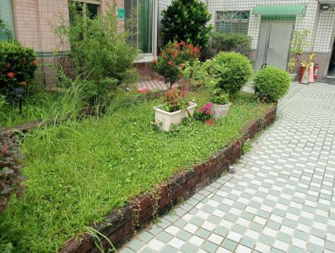王東明 - 花圃整理前 王東明 - 花圃整理前