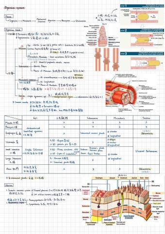劉玉鑾 - 可以幫忙整理筆記