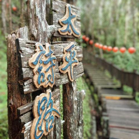 大衛城市旅遊 - 