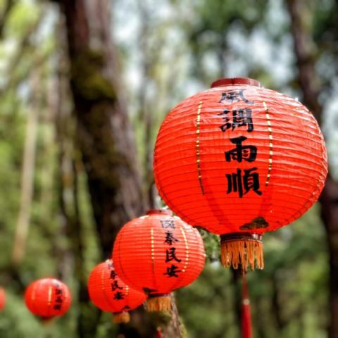 大衛城市旅遊 - 