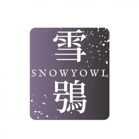 提供工作內容服務的專家雪鴞