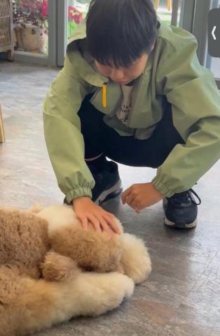 小康 - 與萌寵的互動