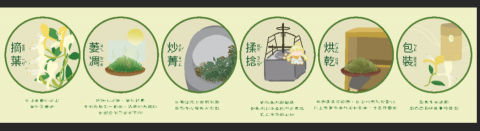 MAY YANG - ICON/插圖設計