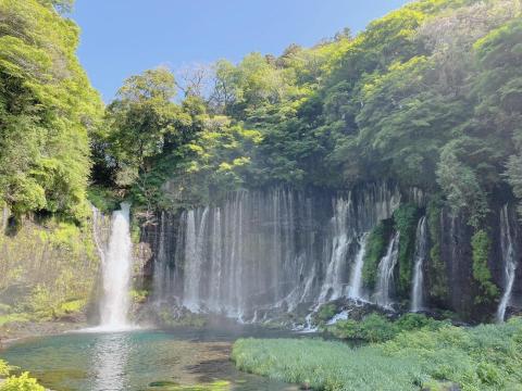舛本先生 - 静岡県富士宮市(ふじのみやし)白糸(しらいと)の滝(たき)