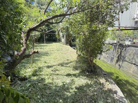 瑋羽園藝工坊 - 南屯案
除草施工（後）