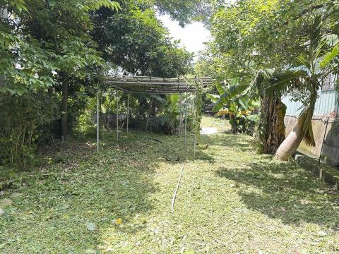 瑋羽園藝工坊 - 南屯案
除草施工（後）