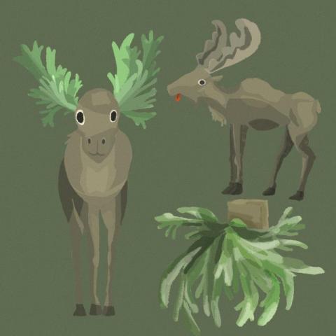 毛毛插畫 - 鹿角蕨