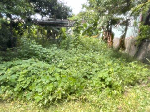 瑋羽園藝工坊 - 南屯案
除草施工（前）