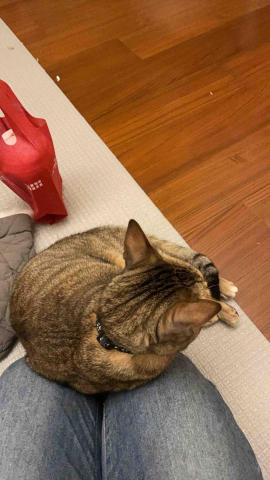 阿肥的家 - 不讓你走、陪我