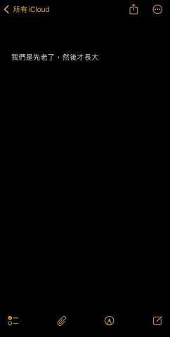 漂流木 - 我們是先變老了，然後才長大