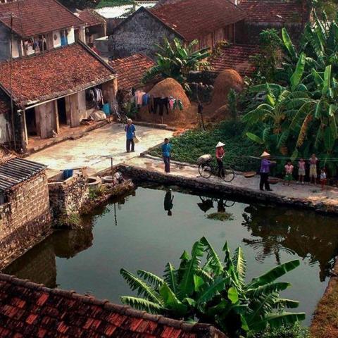 提供capcut越南版服務的專家陳先生