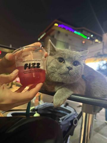 提供回收車沒來服務的專家Mr.潘 跑腿（想吃什麼我幫你買）