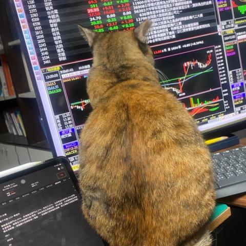 提供電動卷簾服務的專家上毅