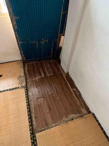 好朋友病媒防治顧問-蔡先生（白蟻、除蟲、蟑螂、螞蟻、 - 木地板白蟻