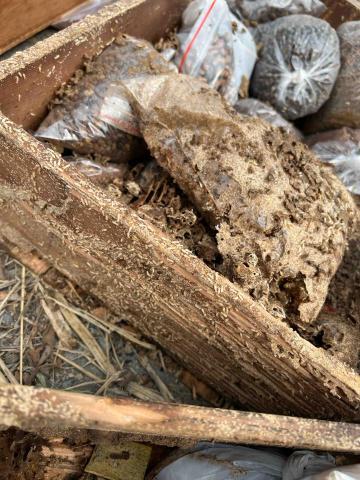 好朋友病媒防治顧問-蔡先生（白蟻、除蟲、蟑螂、螞蟻、 - 中藥櫃白蟻