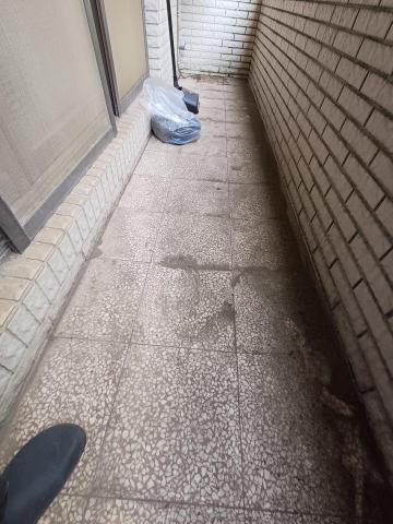 余先生 -  余先生 -